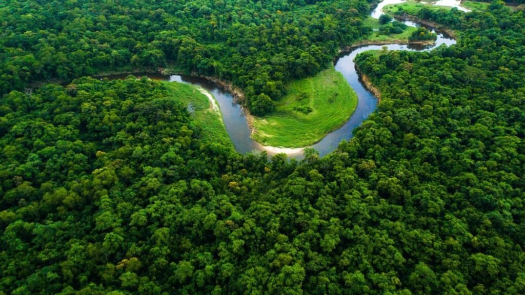 Why Monsoon Is the Best Time to Explore Jharkhand’s Hidden Beauty?